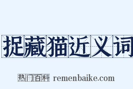 捉藏猫近义词是什么意思的图片